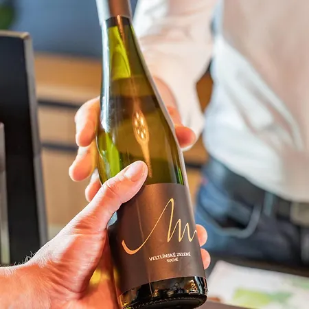 호텔 Mariel 즈노이모